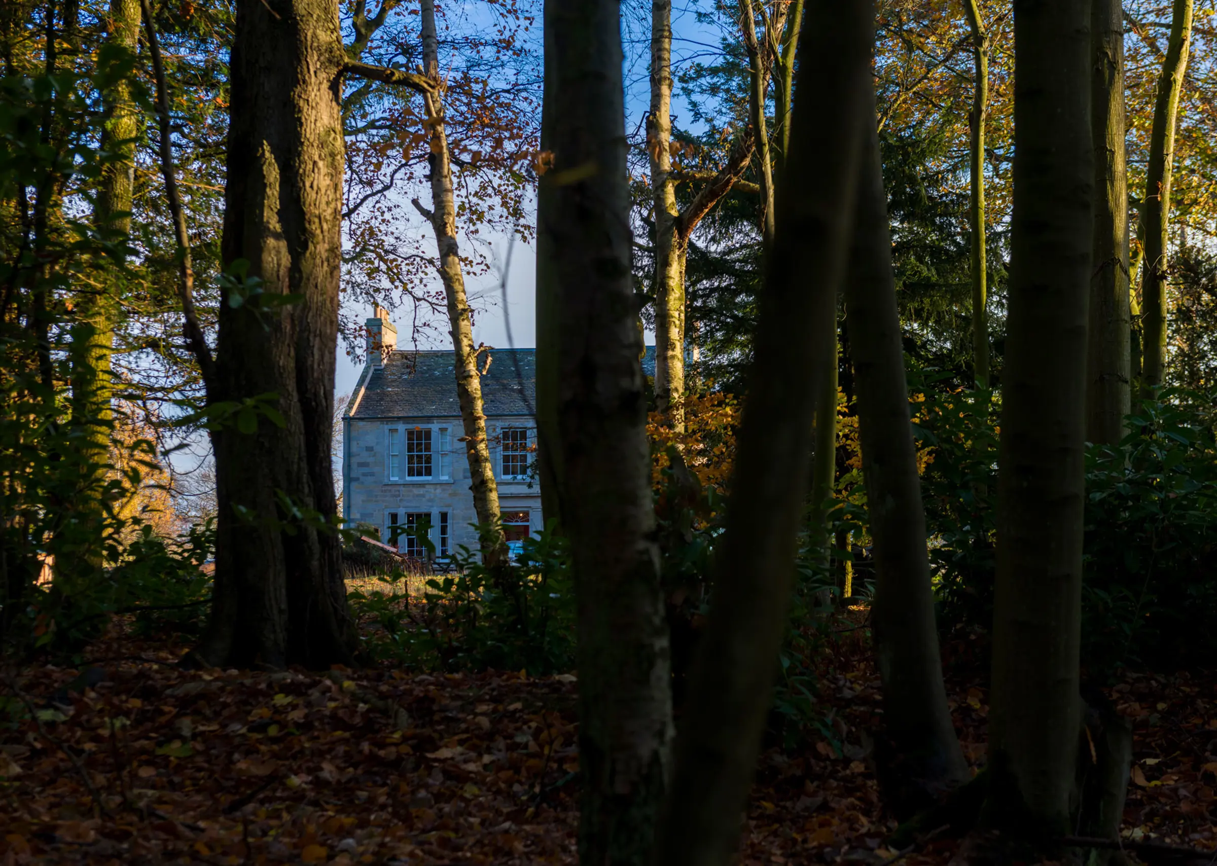 A serene Scottish country manor house, partially veiled by trees, exuding timeless charm and harmony with its surroundings.