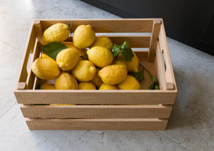 Inglis Hall 4279 Inglis Hall 4279