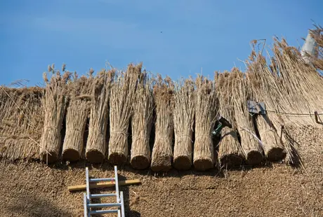 Landscape Buildings 0058